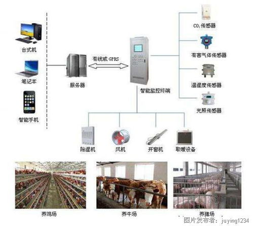 智慧养殖与遥测预警 科技重塑生态管理的双重变革